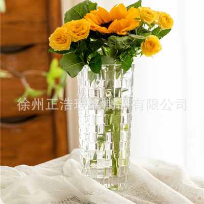 北歐大口水晶玻璃富貴竹玻璃花瓶客廳綠植鮮花水培擺件樣板房裝飾