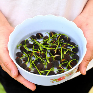 ��ɏˮ��Gֲ�����҃Ȼ��N���Ѻ��B�ļ��_���o��ˮ�B˯ɏ�ɻ�ɏ��