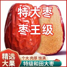 �������½����ؼ����ھ޴�t�����Ԍ������◗���b