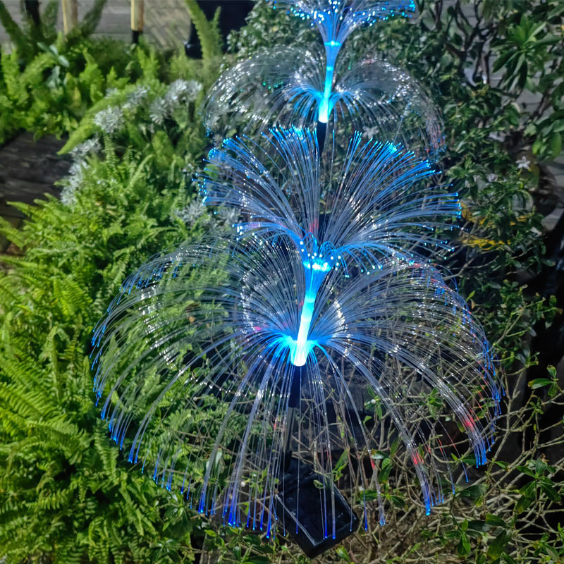 IMG_6589(20221217-115732)