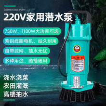 220V��ˮ�Ý�ˮ�ý���늸ߓP�̳�ˮ�C�r�ù������ˮ�Ý���