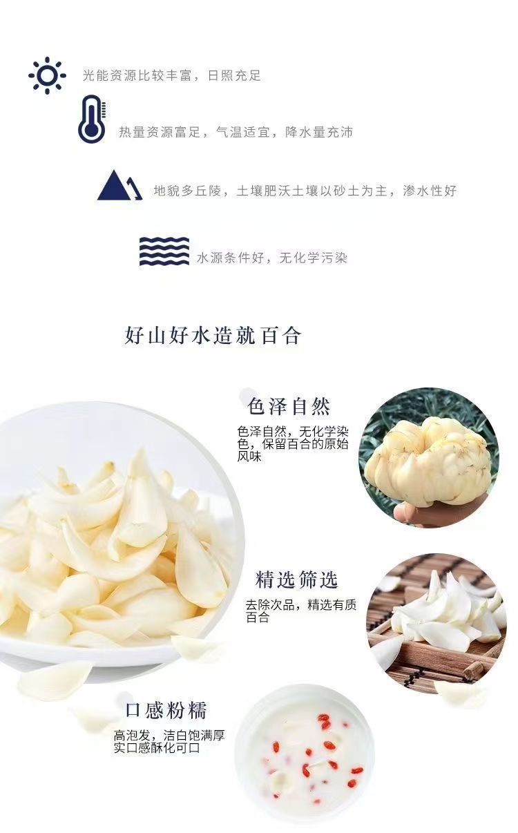Dried Longya Baihe Lily Bulb Slices 500g Hunan Longhui Dragon Tooth Lily Bulb for Soup Congee and Herbal Tea quality and texture
