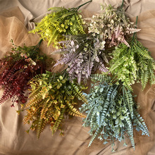 5�������Ų� �Ҿ�С�Ѳ�ɫ��˹�~�廨�c�Y�b����Q�羳ˮ�ݷ��滨