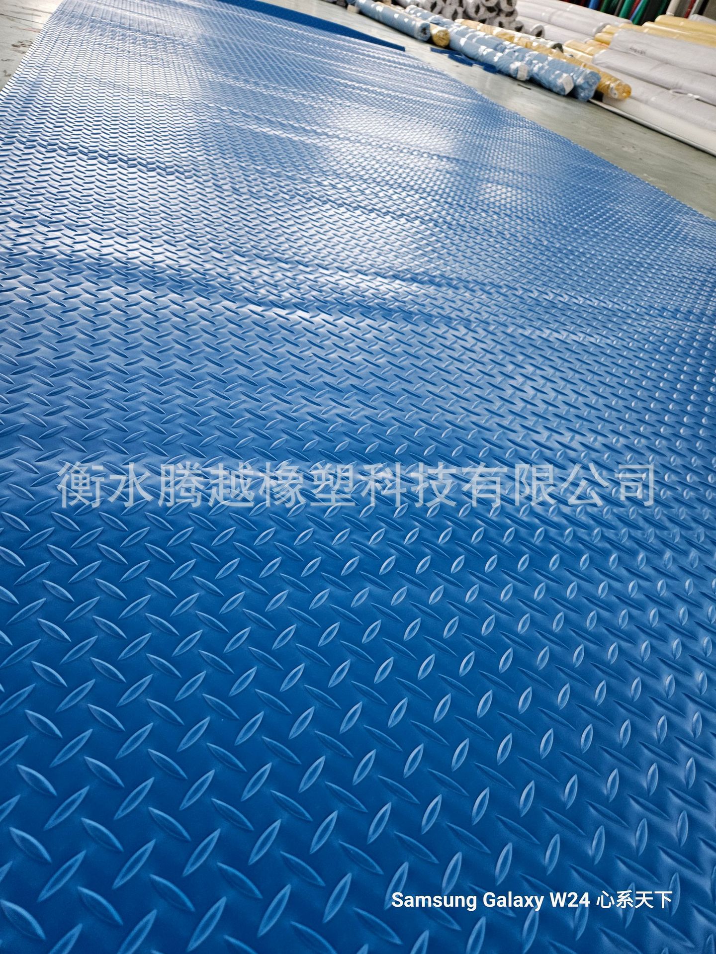 微信图片_20240824110922