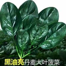 ڈA~˷NӺ~͟ͺļ߲˷N