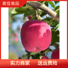甘肅特產靜寧蘋果紅富士水果新鮮當季整箱90甜脆大果送禮蘋果紅富
