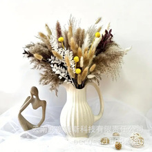 ���R�d�羳С�JȔ�ɻ��͏d�Ɍ��b����յ���pampas�S�ҬF؛���l