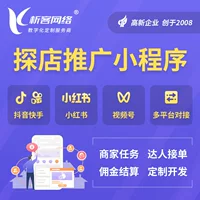 Облачный Tandian Promotion мини-программ разработка локальный экспертный ресурс система Douyin маркетинг и трафик-драйв ПО приложение сборка
