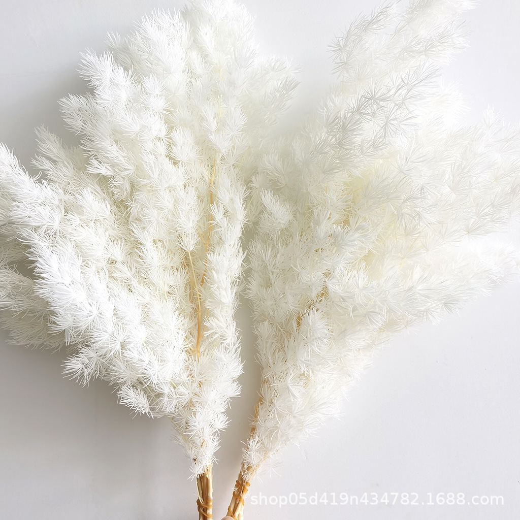 Blanc 100g