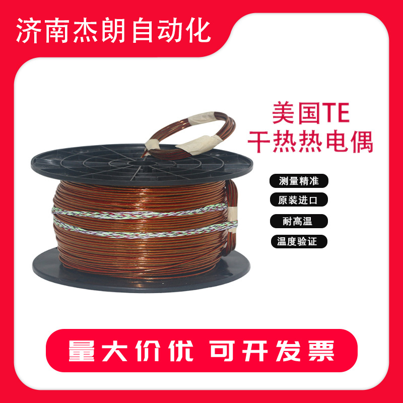 美国PMC干热热电偶探头适用干燥箱、隧道烘箱高温验证 不锈钢封头