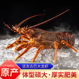 ����Űʹ����r ������r���r�Y�л�������r���r�����r�F؛���l