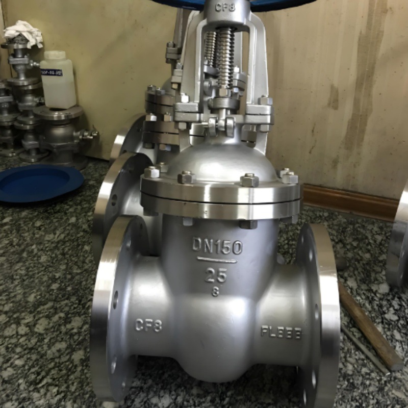 Z41W-64RL DN300 不锈钢316L法兰闸阀 耐酸碱可调节手动闸板阀门