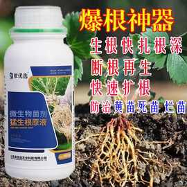 猛生根原液扦插微生物菌剂壮苗生根粉强力正品生根剂生根水叶面肥