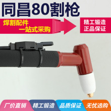 xи ͬ60/80A TCD-100xӸ ݼyӿ