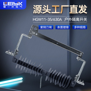 Lei Yiqi 35KV High Voltage Disconnector HGW11-35/630A Wind Power Dropdown Disconnector
