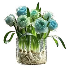 ������õ�廨����x�ذ�ˮ���͟Ứ���k���҃ȾGֲ����