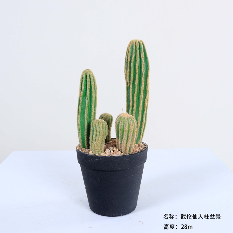仿真龙神柱仙人掌寄生仙人球摩洛哥沙生植物造景软装样板工程装饰|undefined