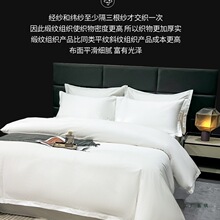 �e�^������Ʒ�ļ������|�Ӻ�Ƶ겼�ݼ���ɫ���α������|��������