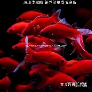 ��ˮ�W�^�~�t�~��ˮ���B�׻���ˮ�~���^�p�~���~���~�ͻ��S���\��