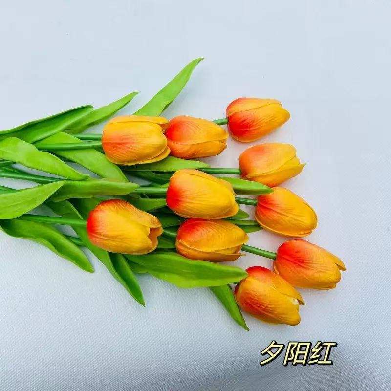 일몰 빨간색
