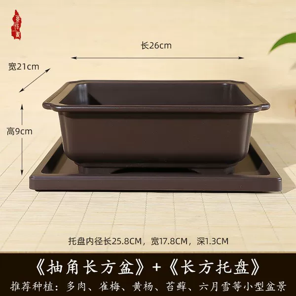 Rosewood, rectangular, 26cm, 21cm, 9cm