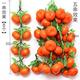 Lake blue 8 fruit orange★