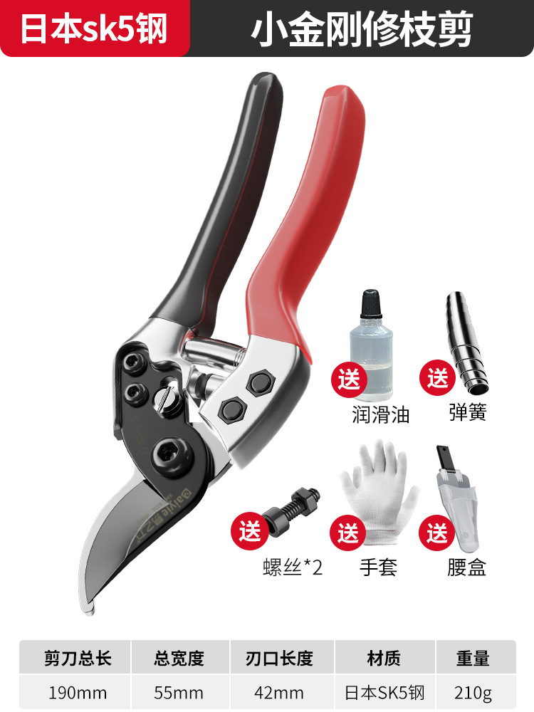 Tijeras de rama de fruta Yizili tijeras de jardín de primavera SK5 hoja de acero tijeras de jardinería doméstica tijeras de podar Bonsai de jardín al por mayor