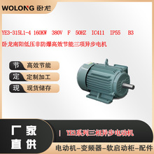 YE3-315L1-4 160KW  380V     B3  卧龙南阳低压非防爆电机