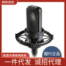 Audio Technica/铁三角 AT4040电容麦专业录音棚合唱话筒设备