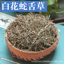中草药白花蛇草 蛇舌草1000克/500克  新货 产地货源 量大从优