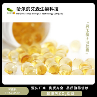 Ganoderma Spore Oil Soft Capsules 500 мг три 萜 30% Продукции здоровья. Производители пилота.