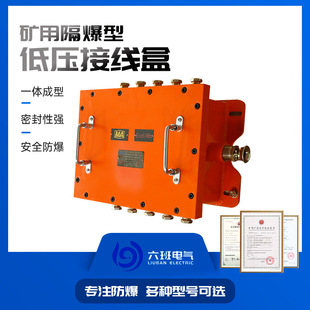 Explosion-proof low voltage cable junction box for mining BHD20-10/127-12G/24g wiring explosion-proof box