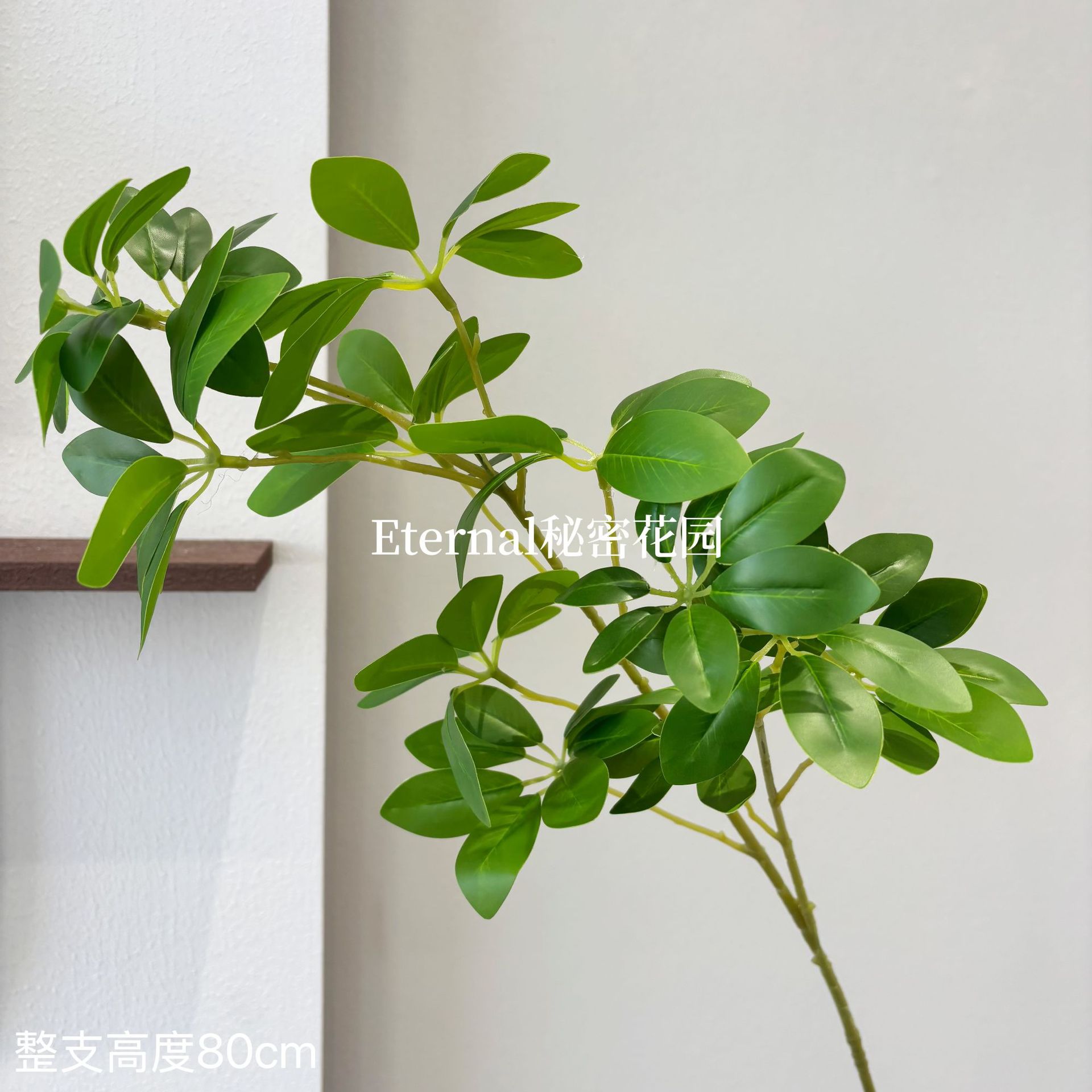 오리발 나무 녹색