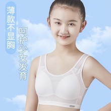 少女内衣夏季薄款透气发育期初中高中学生小背心女童儿童大码文胸