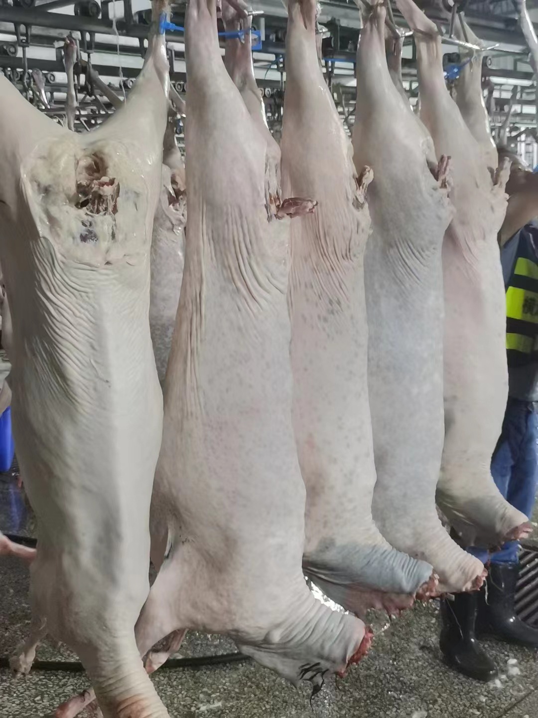 微信图片_20221018210626