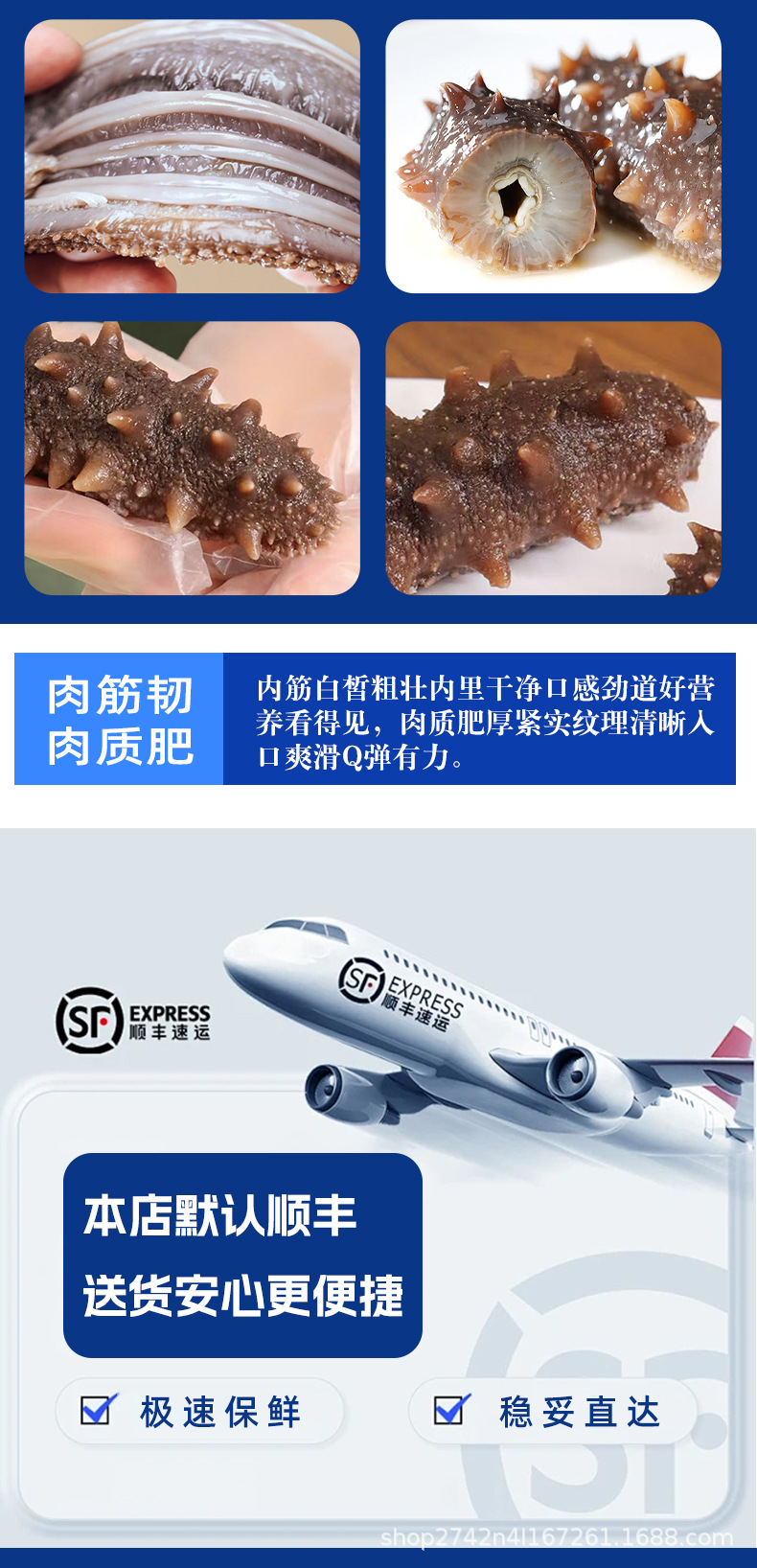 Dried Sea Cucumber Gift Box Lightly Dried A Grade 50g 8-9 Pieces specifications