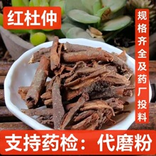 �t���� ��ș�� ë������ ������Ƥ �tƤ���َ��z���l ֧��ș�z ��