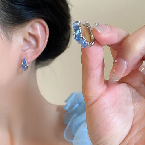 Light luxury niche blue crystal earrings earrings for women ins trendy Korean fresh and versatile earrings earrings
