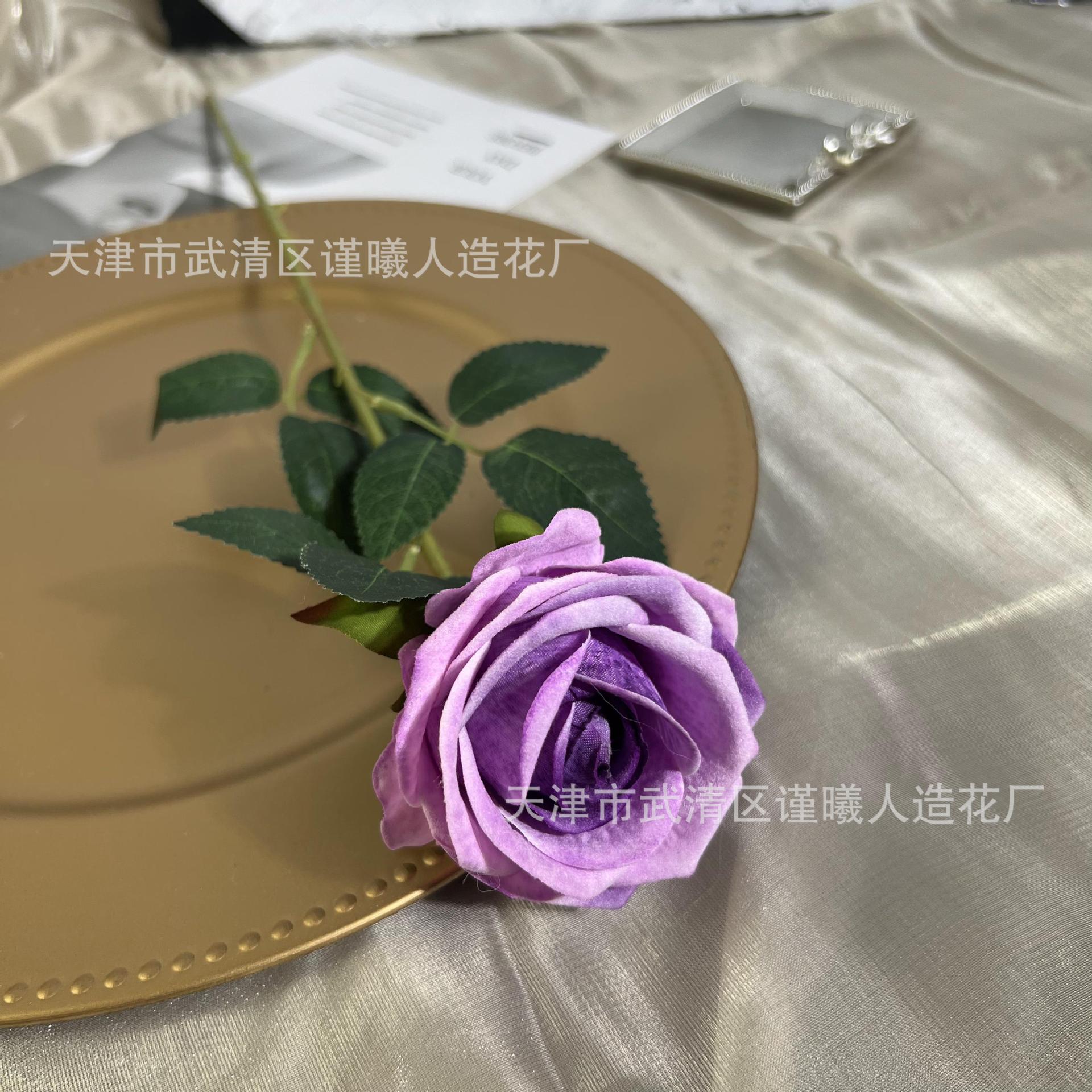 보라색