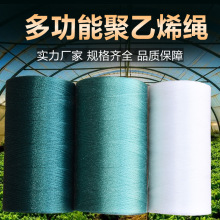 ��������K���t���S�ϷNֲ�Ϲ��K���������ǵ����K�߲����پW���K