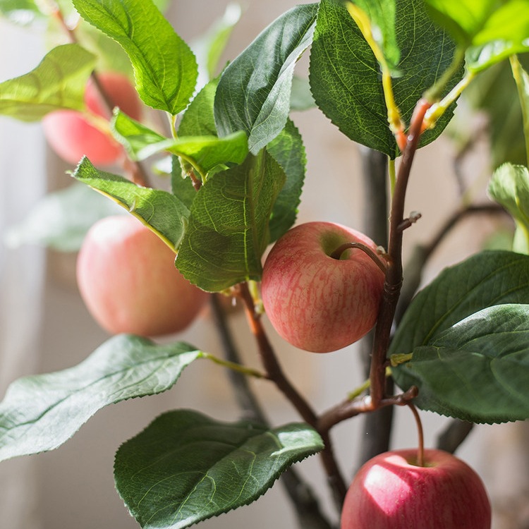 Apple tree bonsai potted plant decorative ornaments meaning fruit trees are safe and safe holiday gifts 3