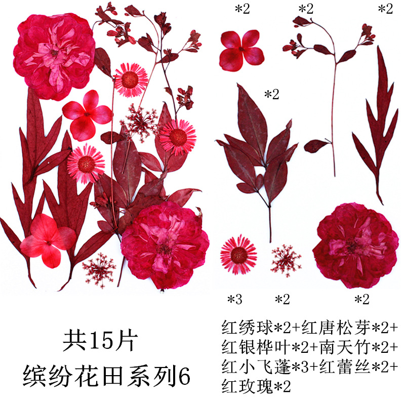 다채로운 꽃 밭 조합 6