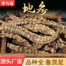 地参 虫草参 顶天柱地蚕子竹节参 中药材地参 产地货量大优代打粉