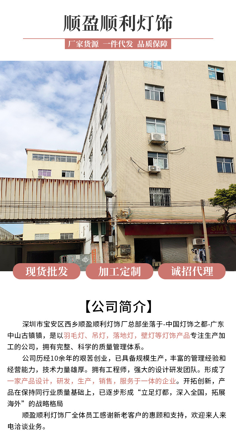 Details page_13.jpg