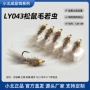 溪流红眼squirrel松鼠毛军鱼