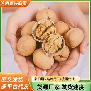 2024��؛�½�185��Ƥ���ұ�Ƥ�������ʈԹ���؛�����ҹٷ���Ş��