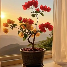 һ��һ������÷�������\ݔ;�е������~��������F��