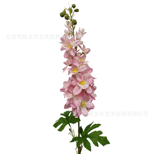 �¿��֧�L���ӷ��滨 �w��� ���_�m�ٻ� �Ҿӻ�Y�b��L����