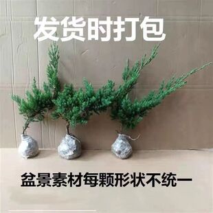 ���ؘ����ļ��m�� ɳ�ذ����҃���Nֲ �ذ��辰С��