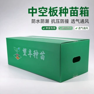透气排水钙塑中空板种苗育苗箱 苗木防烂根培育周转箱